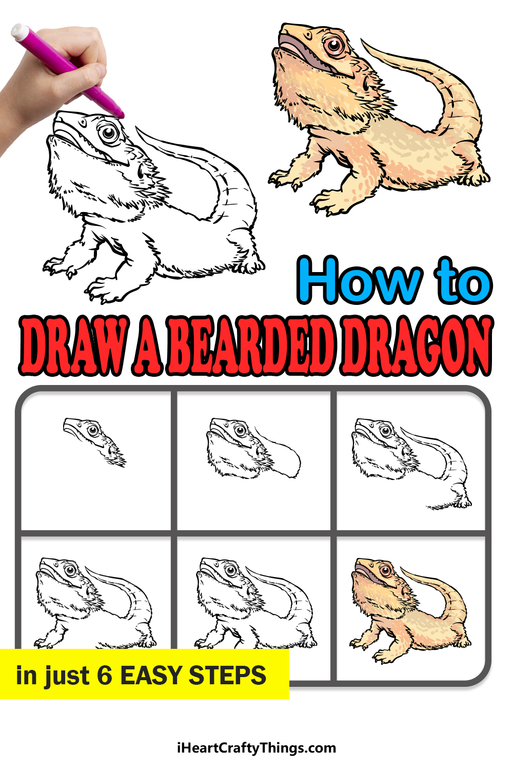 how to draw a bearded dragon in 6 easy steps