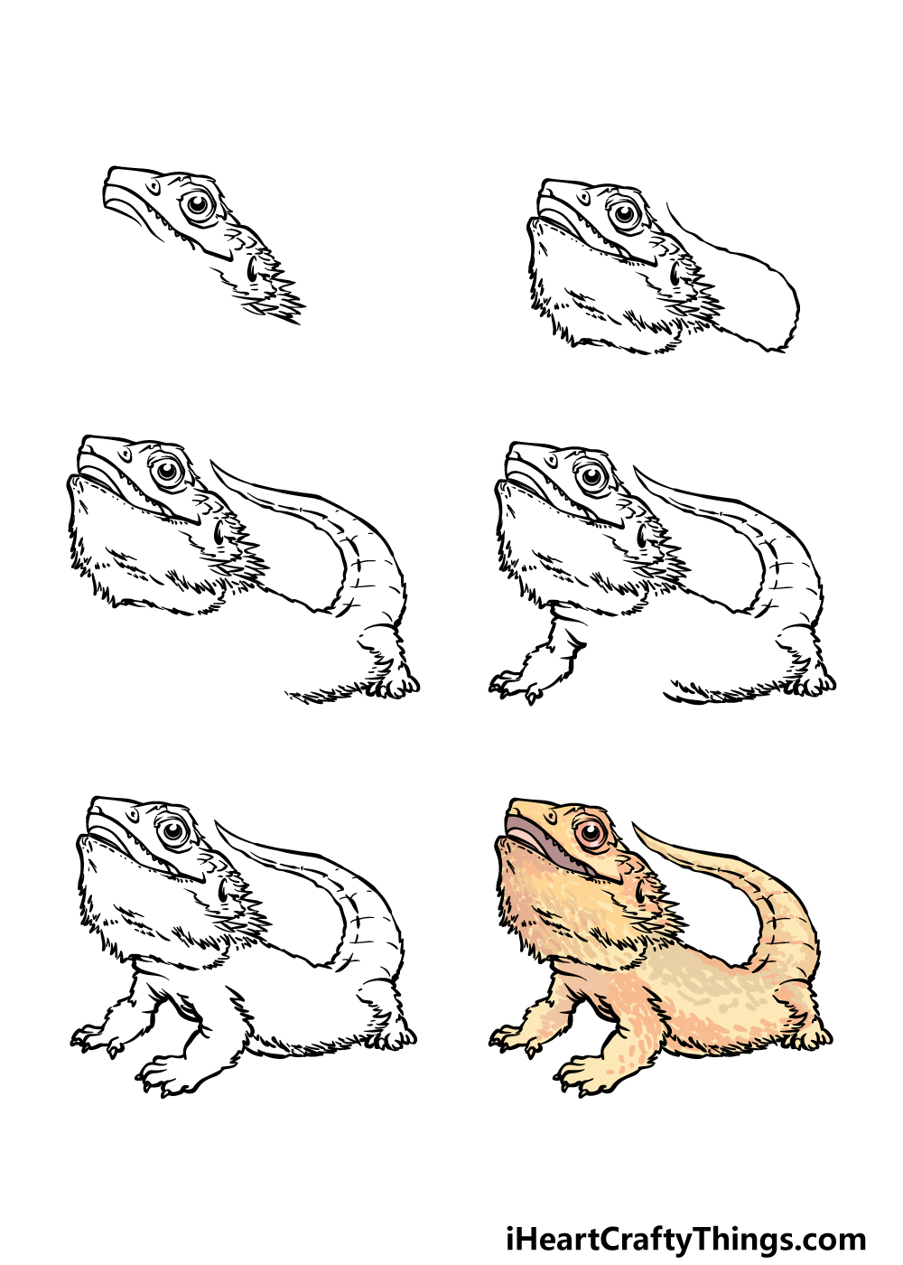 How To Draw A Bearded Dragon Carpetoven2