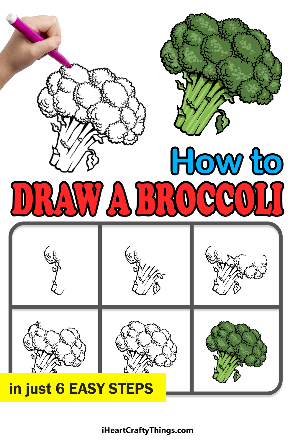how to draw Broccoli in 6 easy steps