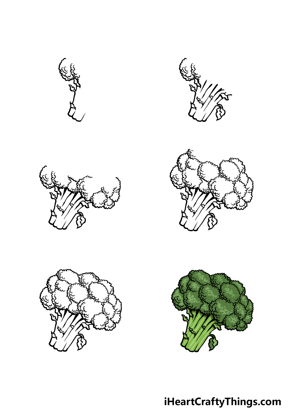 how to draw Broccoli in 6 steps