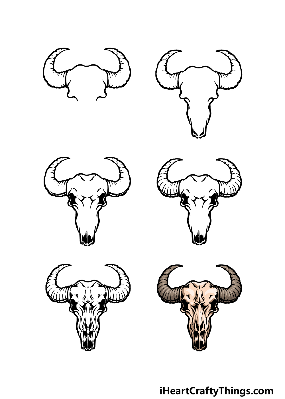 how to draw a bull skull in 6 steps