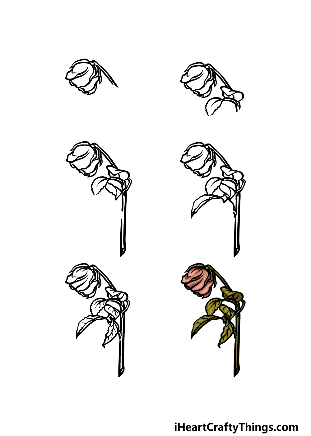 how to draw a dead rose in 6 steps