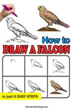 Falcon Drawing - How To Draw A Falcon Step By Step