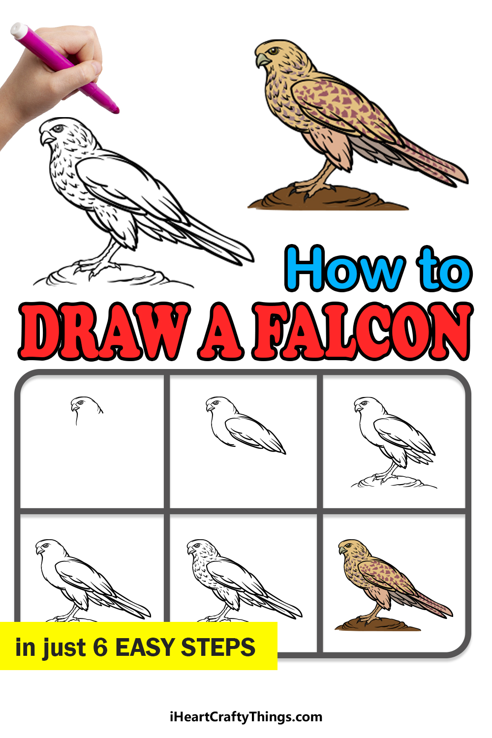 How To Draw A Falcon Step By Step Easy