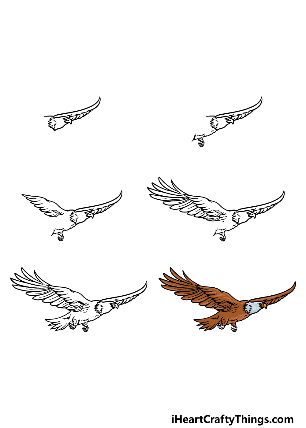 how to draw a Flying Eagle in 6 steps