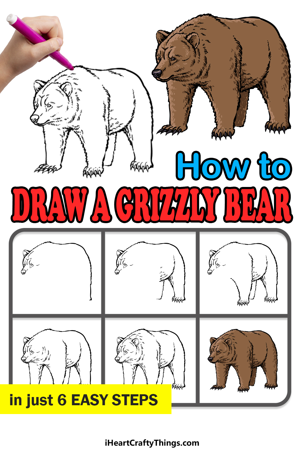 How To Draw A Grizzly Bear (realistic) 