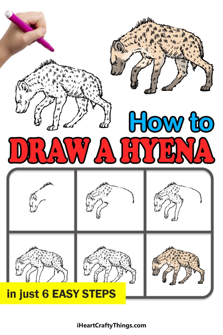 Hyena Drawing - How To Draw A Hyena Step By Step