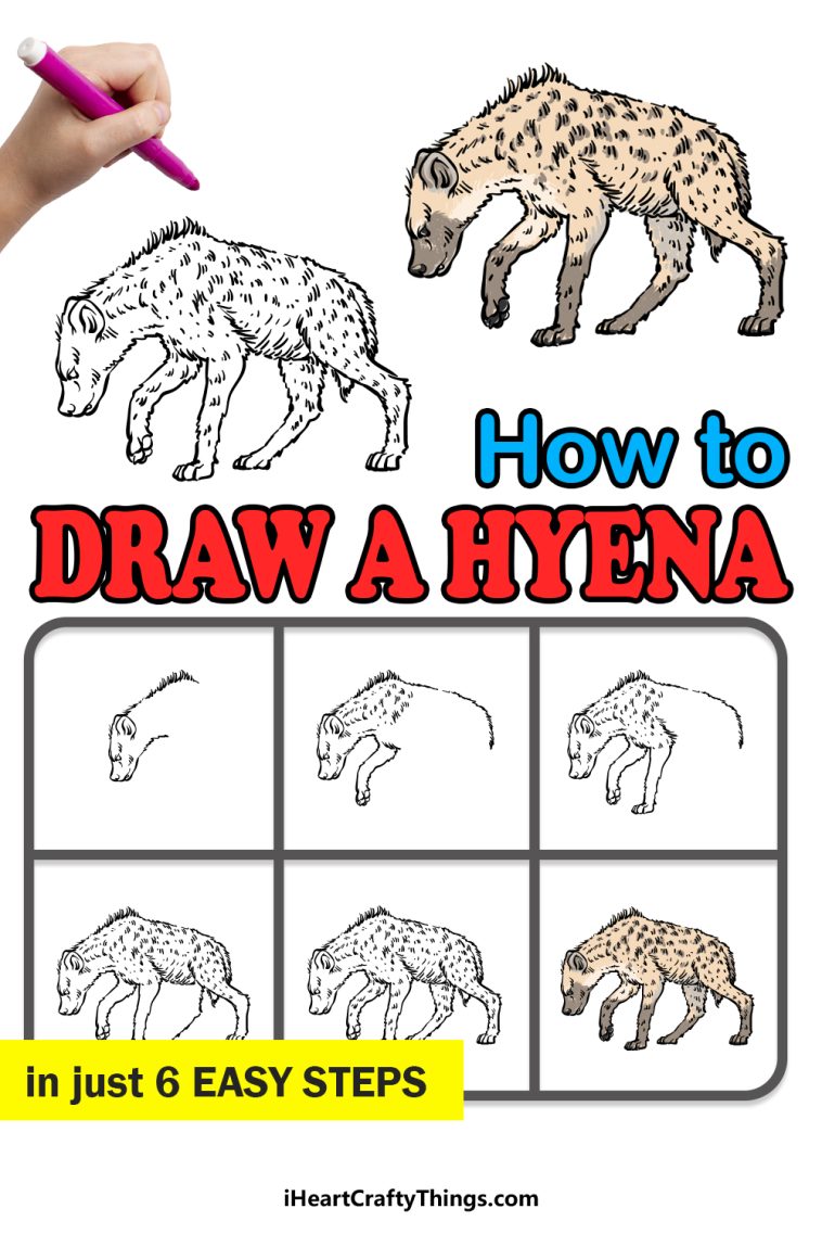 Hyena Drawing How To Draw A Hyena Step By Step