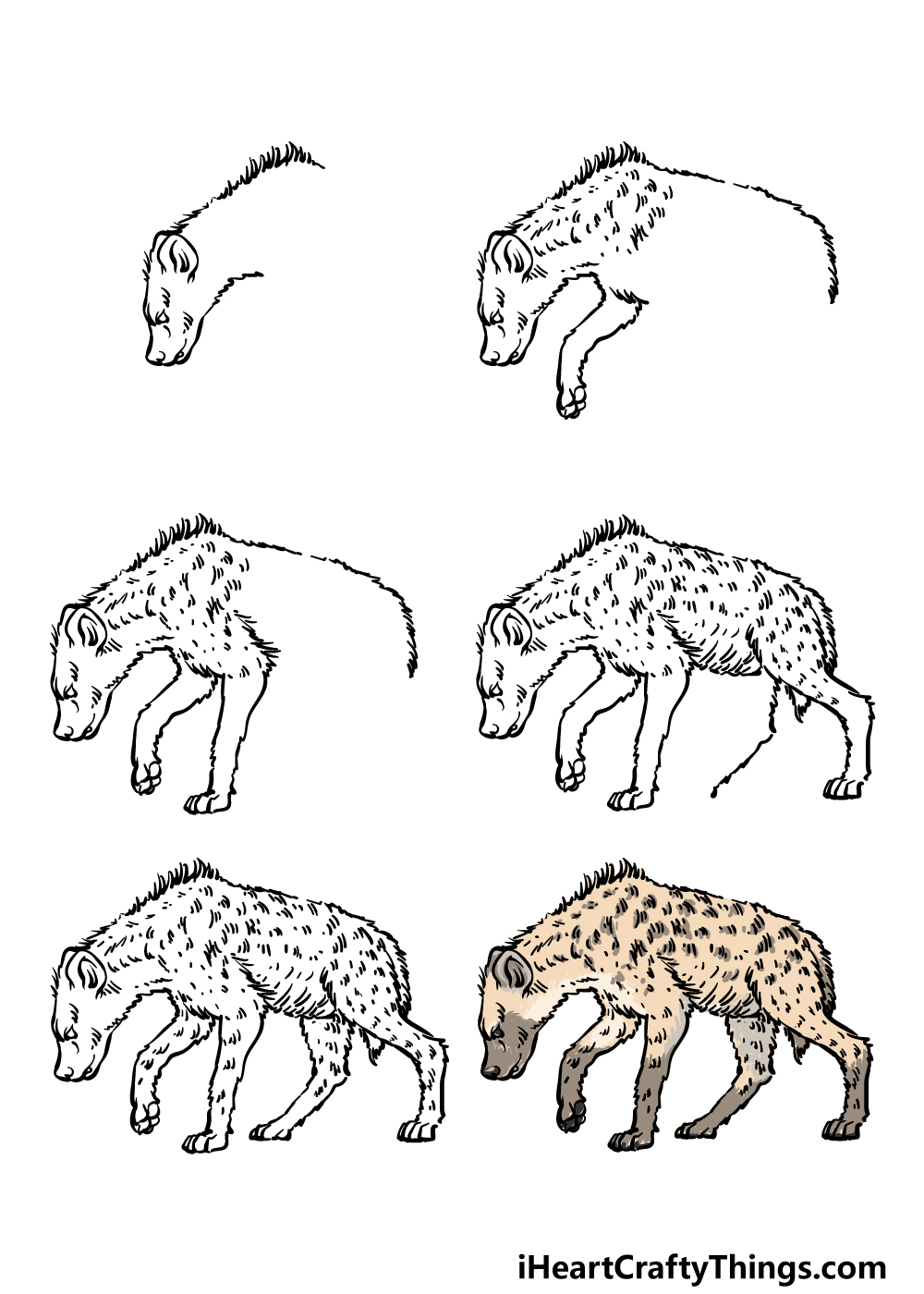 how to draw a hyena in 6 steps