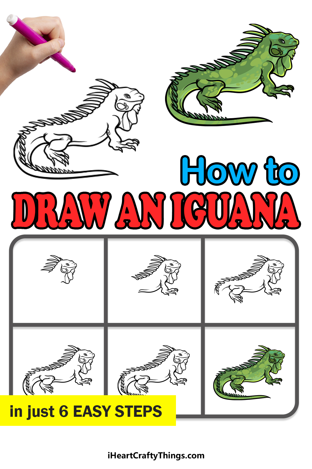 how to draw an Iguana in 6 easy steps