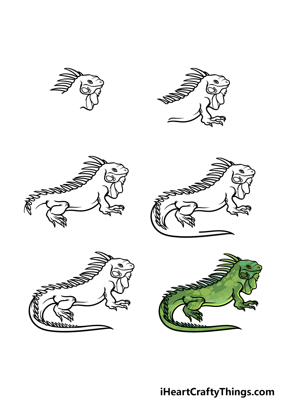 how to draw an Iguana in 6 steps