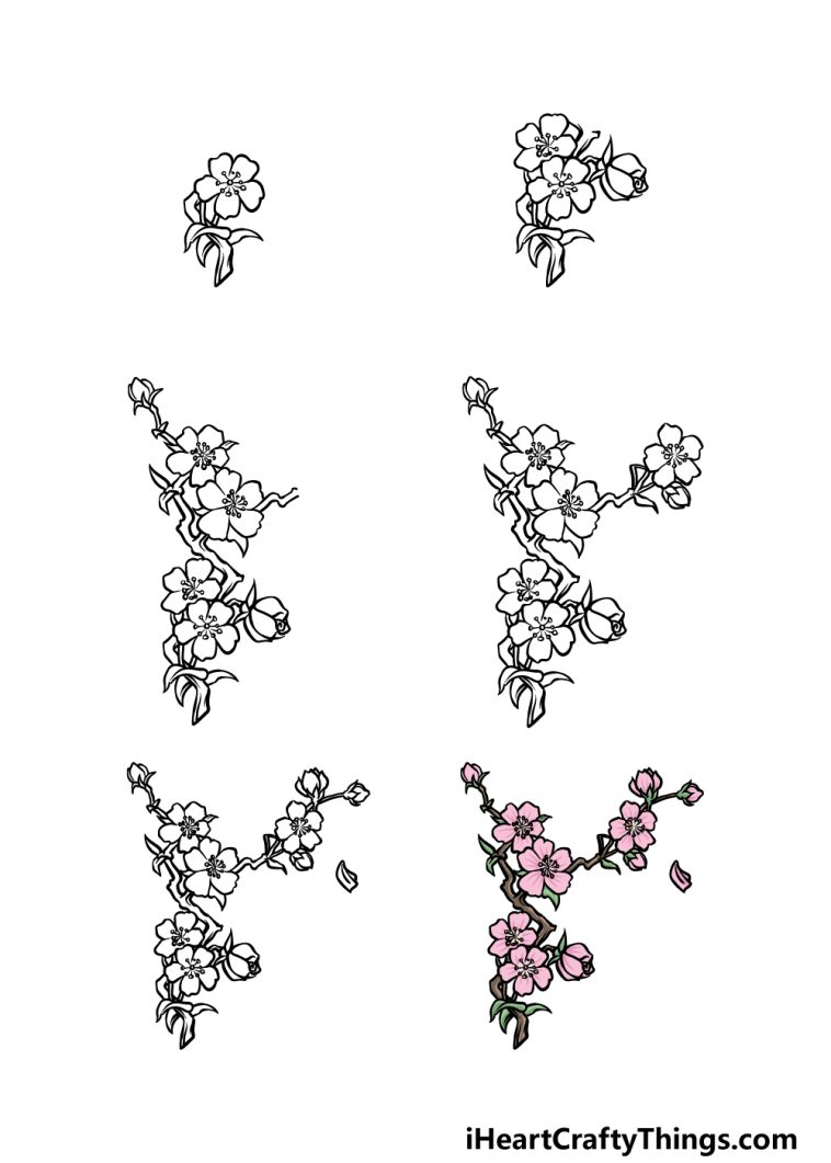 Japanese Flower Drawing How To Draw A Japanese Flower Step By Step