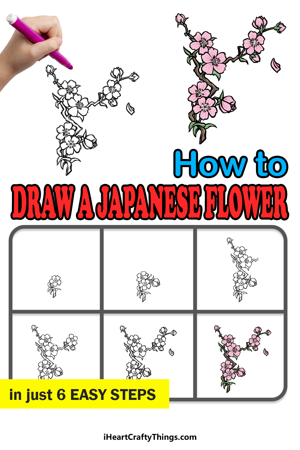 how to draw a Japanese flower in 6 easy steps