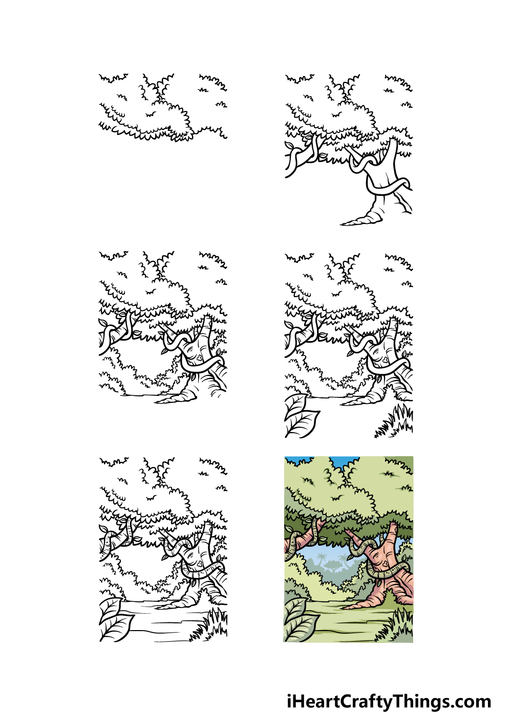 how to draw a jungle in 6 steps