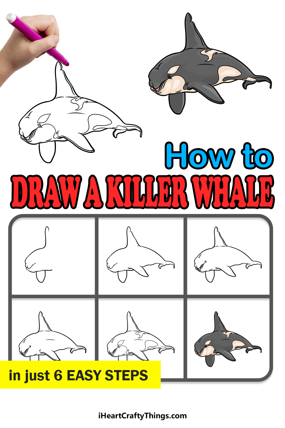 how to draw a killer whale in 6 easy steps