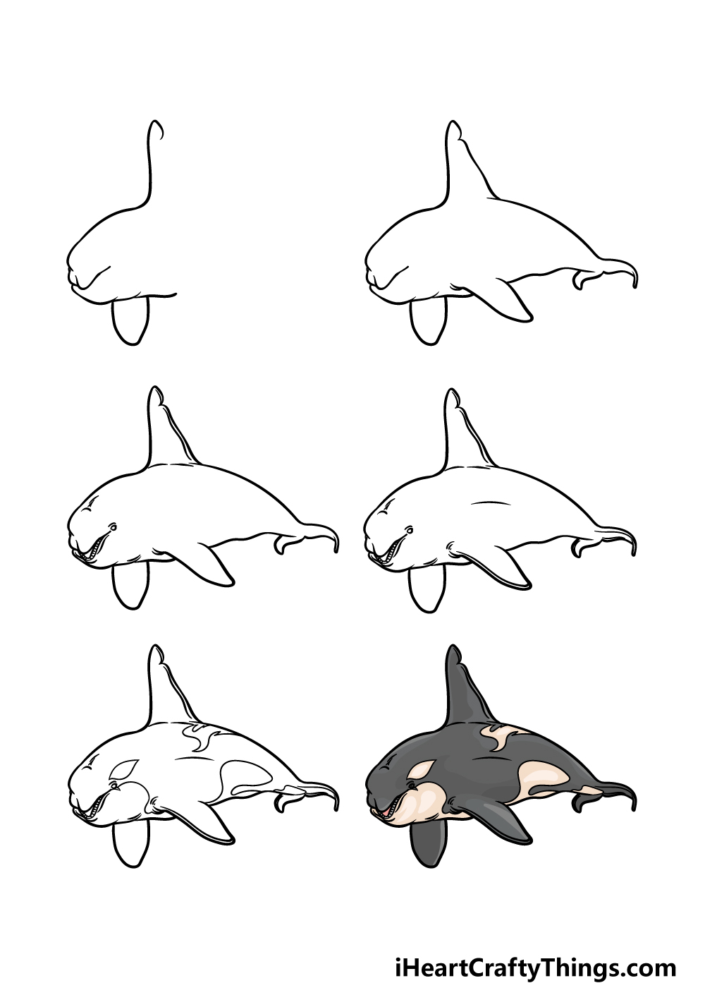 how to draw a killer whale in 6 steps