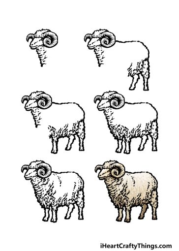 Ram Drawing - How To Draw A Ram Step By Step