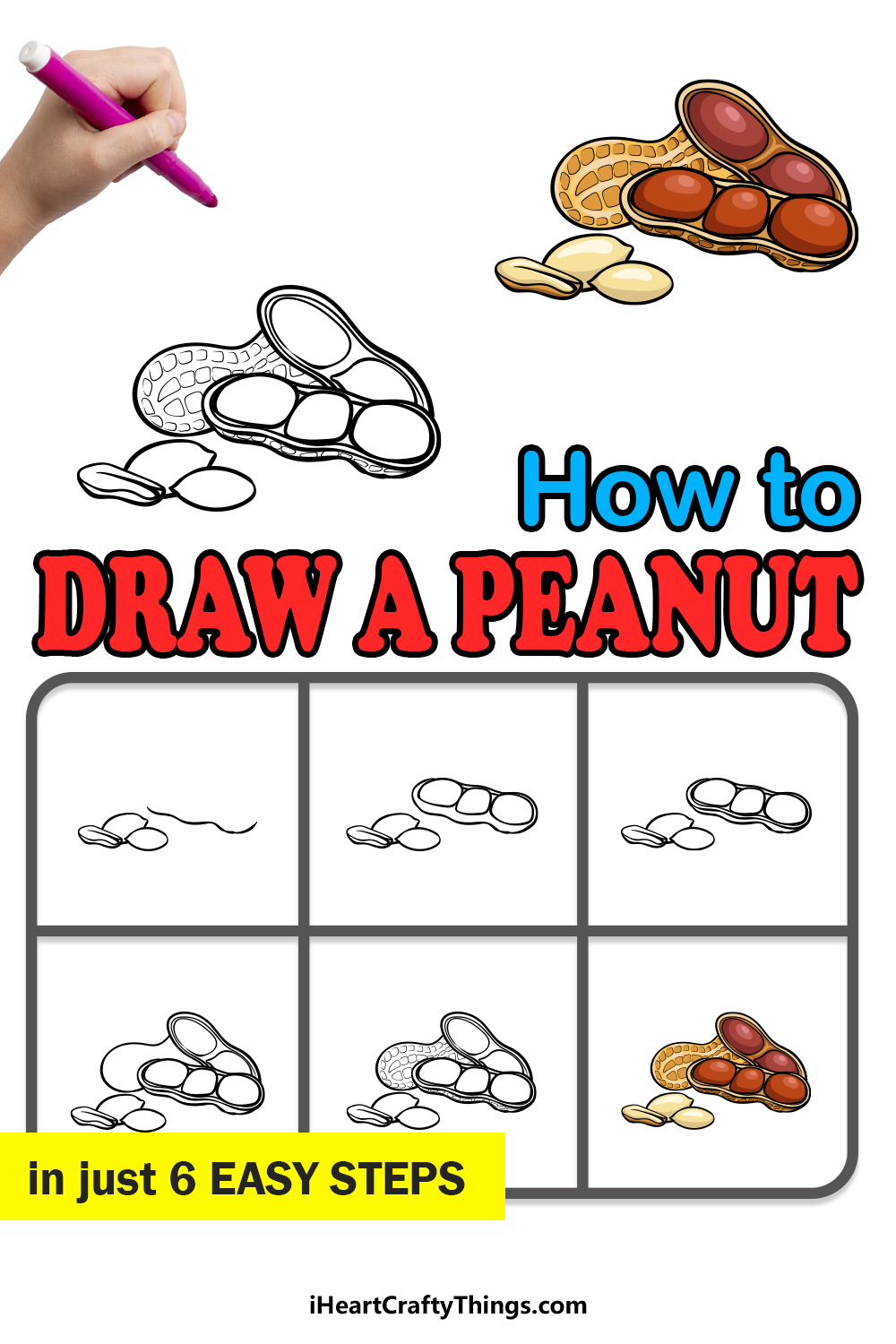 how to draw a peanut in 6 easy steps