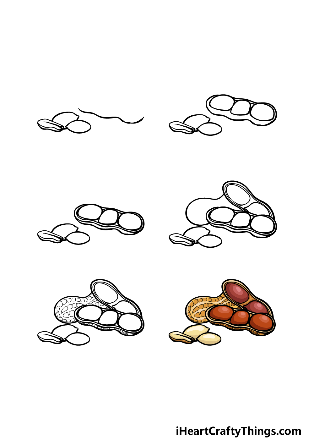 how to draw a peanut in 6 steps