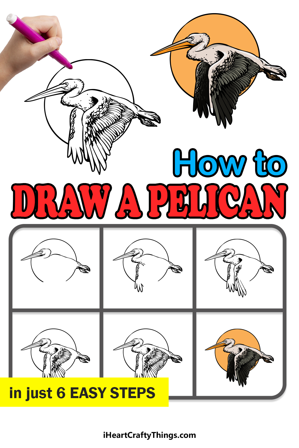 how to draw a pelican in 6 easy steps