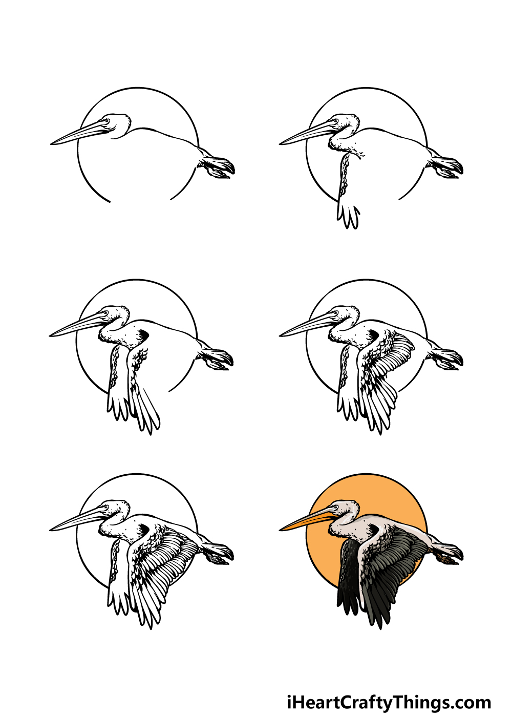 how to draw a pelican in 6 steps