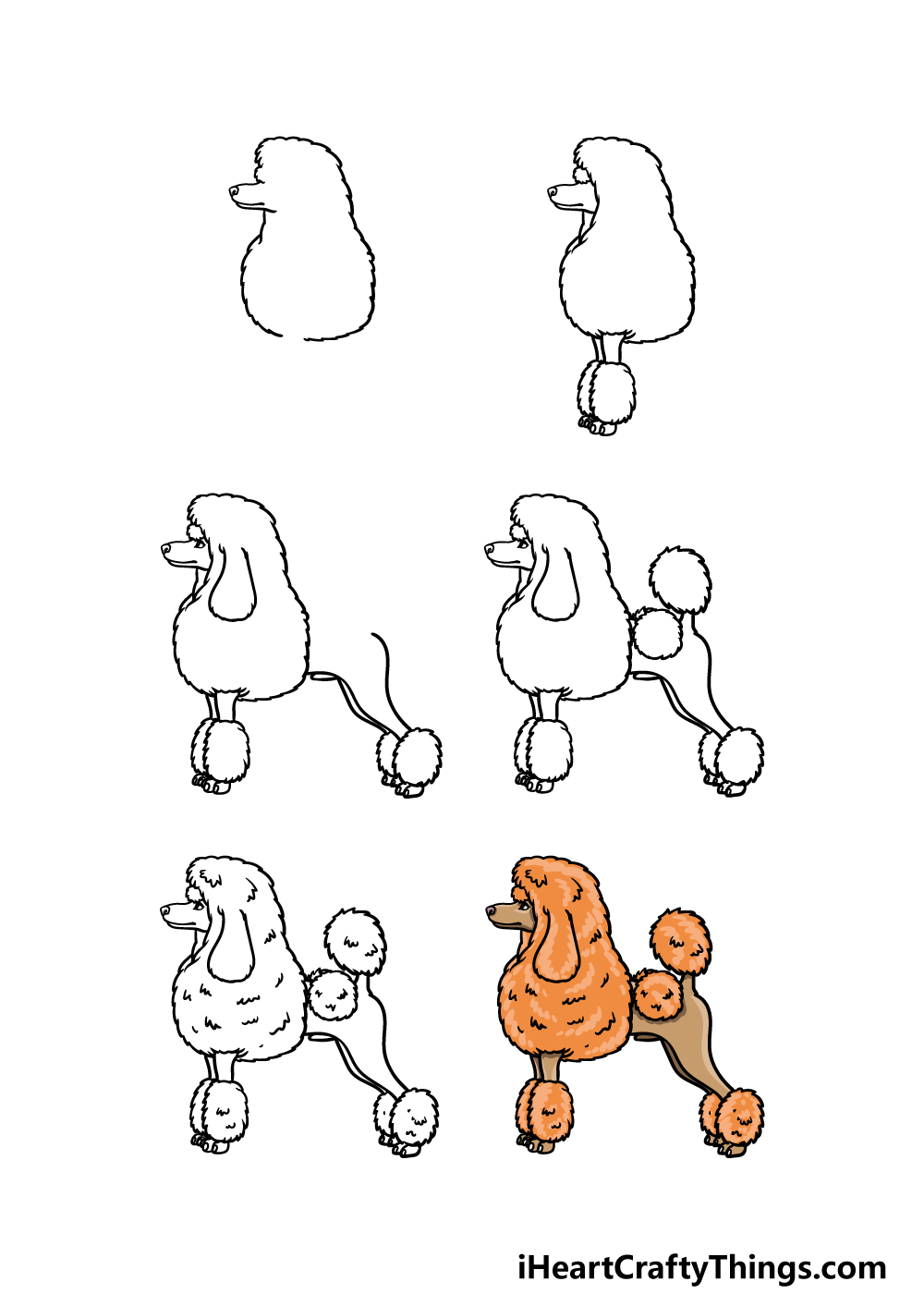 how to draw a Poodle in 6 steps
