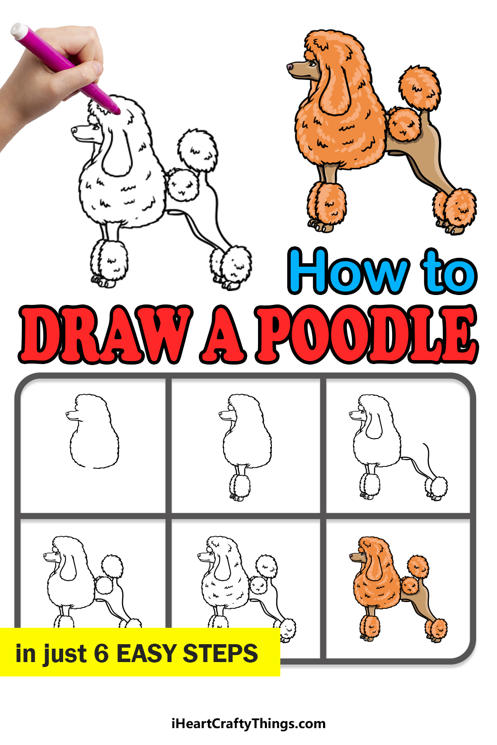 how to draw a Poodle in 6 easy steps