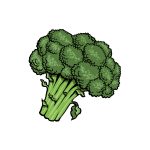 how to draw Broccoli image