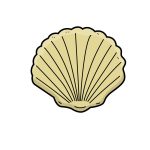 how to draw a shell image