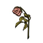 how to draw a dead rose image