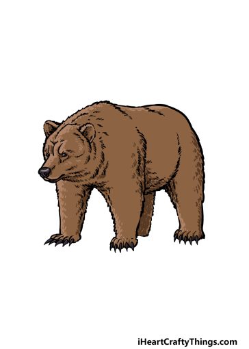 how to draw a grizzly bear image