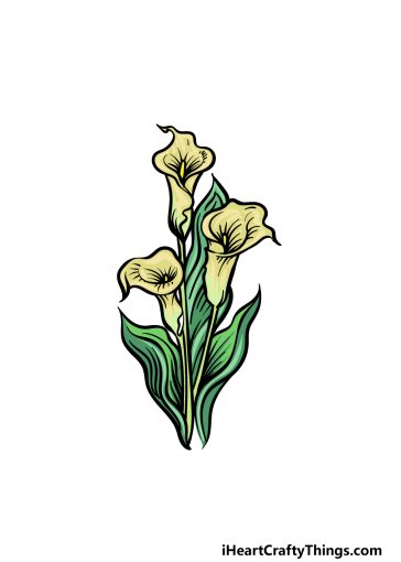 how to draw a Calla Lily image