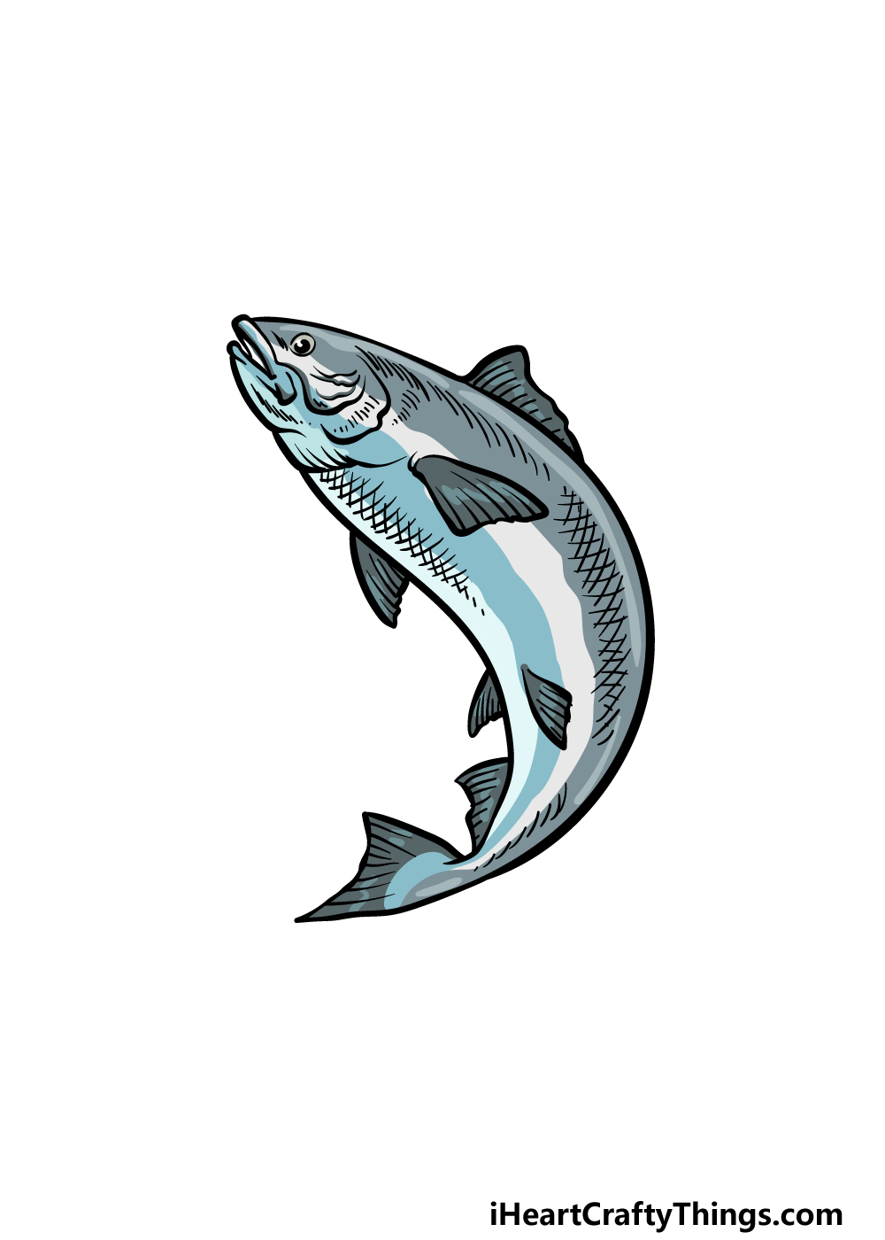 Salmon Drawing - How To Draw A Salmon Step By Step