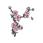 how to draw a Japanese flower image