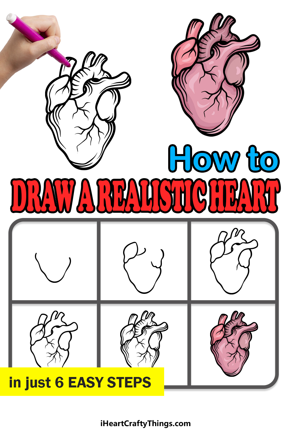 how to draw a realistic heart in 6 easy steps