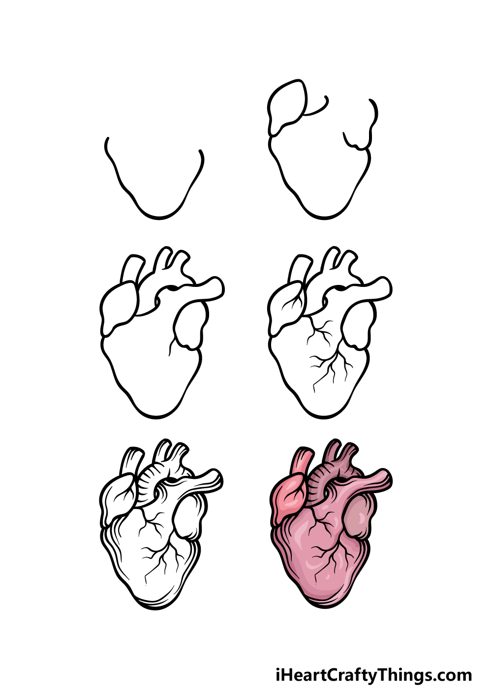 how to draw a realistic heart in 6 steps