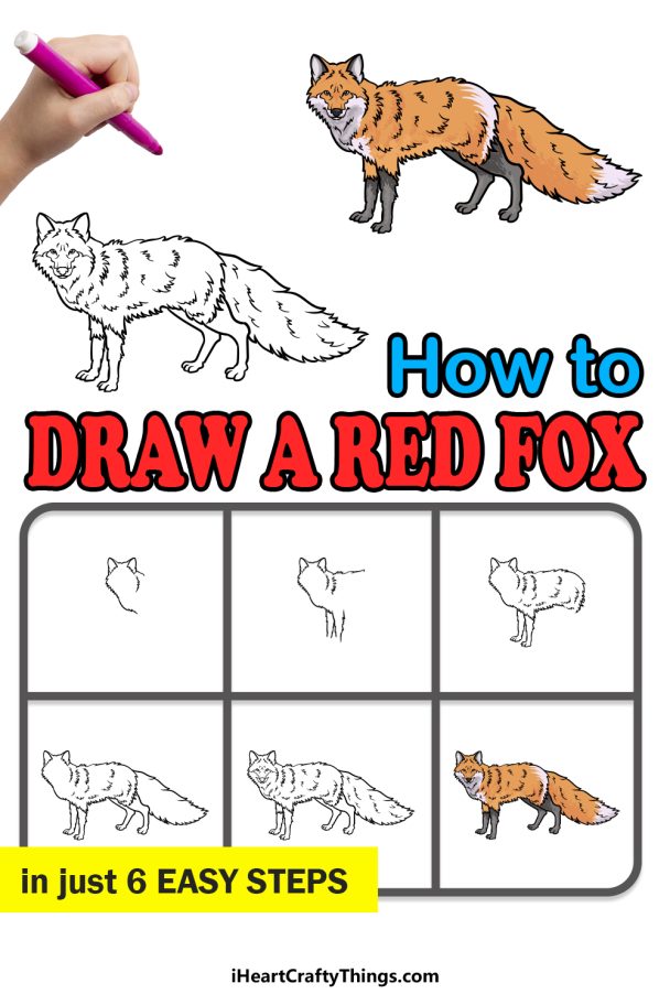 Red Riding Fox Drawing Red Fox Drawing - How To Draw A Red Fox Step By Step