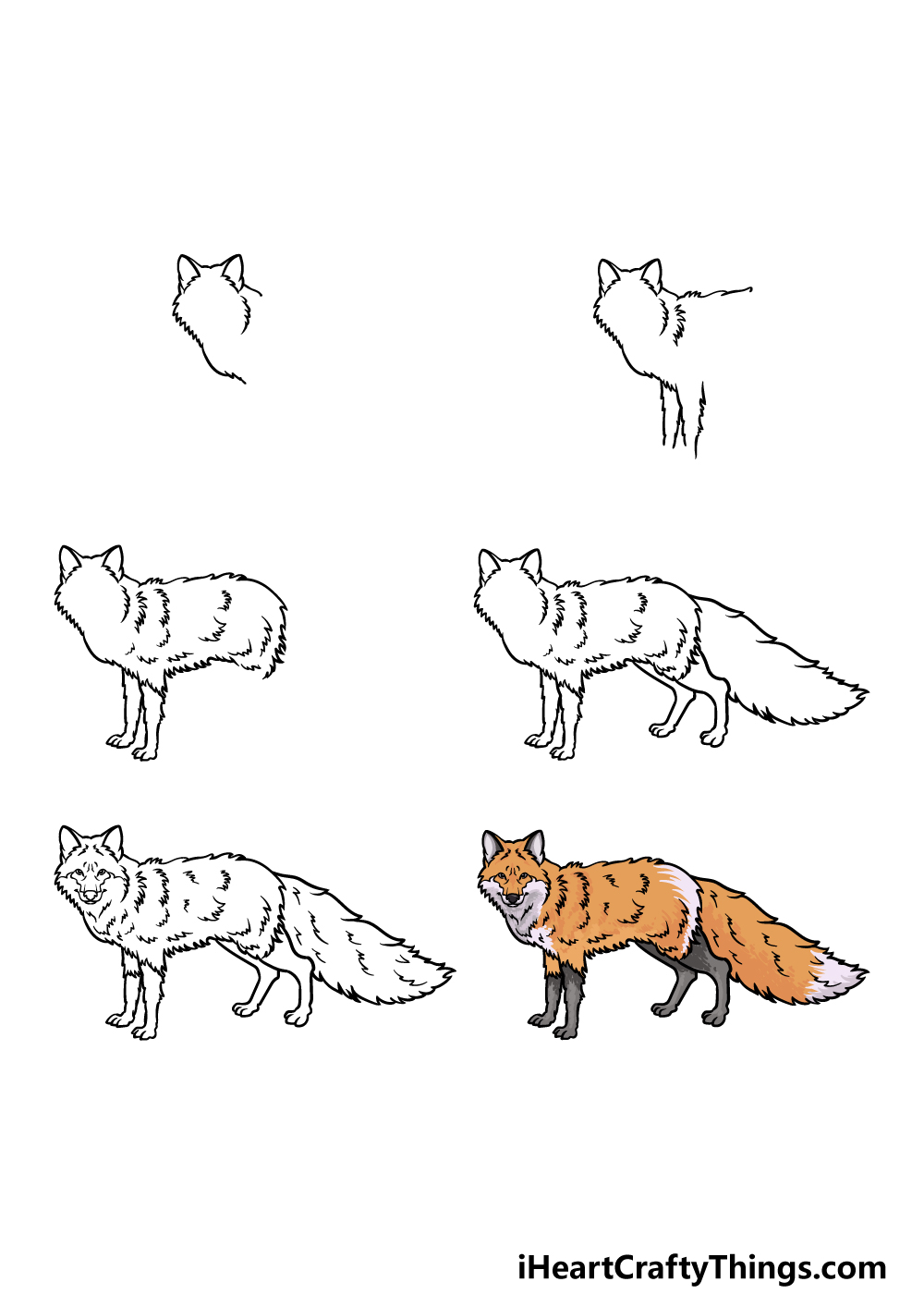 how to draw a red fox in 6 steps