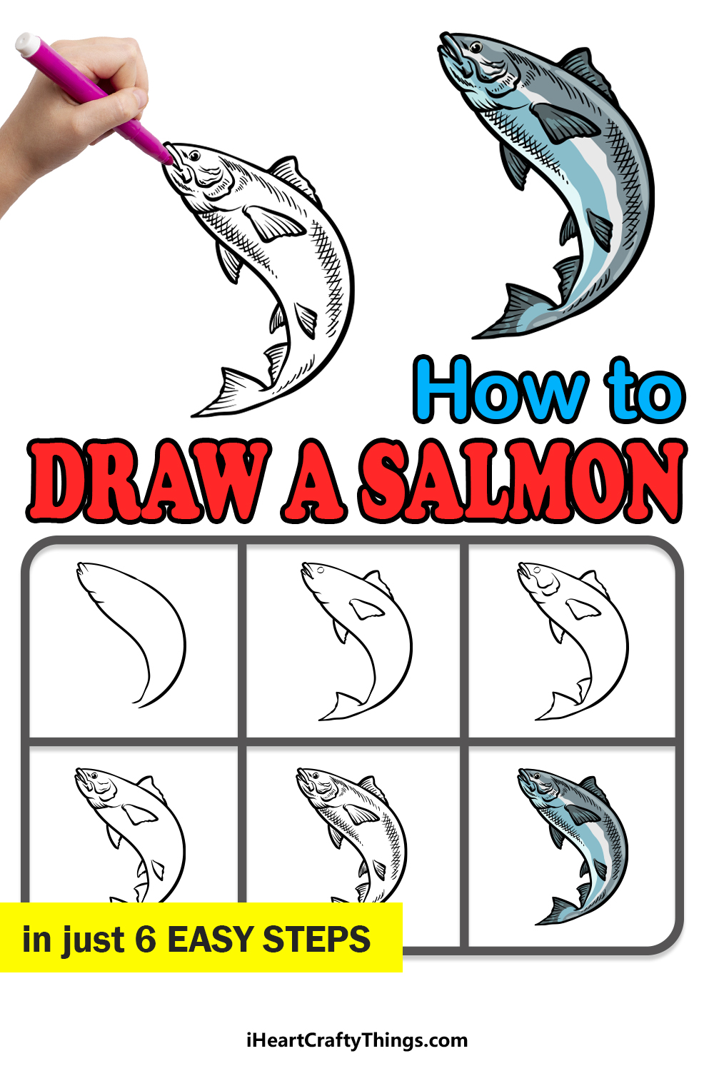 how to draw a Salmon in 6 easy steps