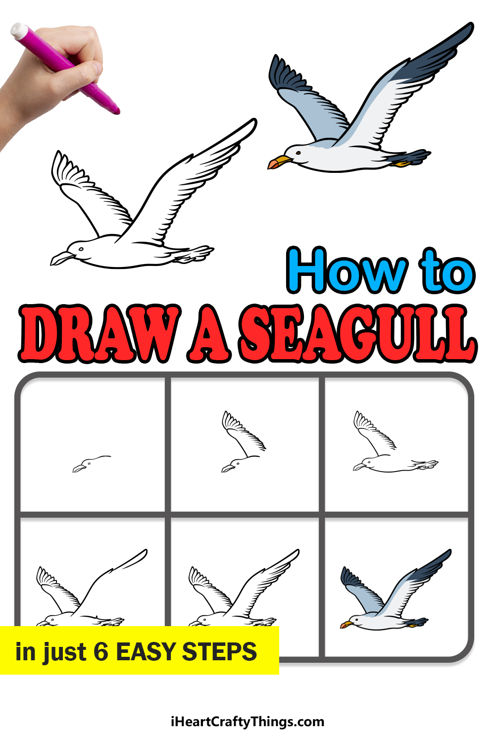 how to draw a Seagull in 6 easy steps
