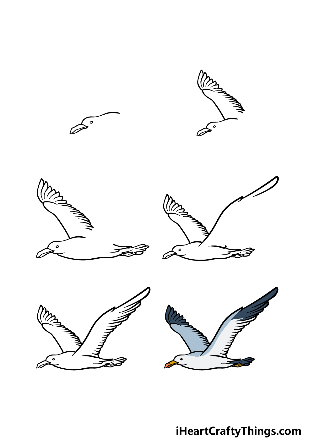how to draw a Seagull in 6 easy steps