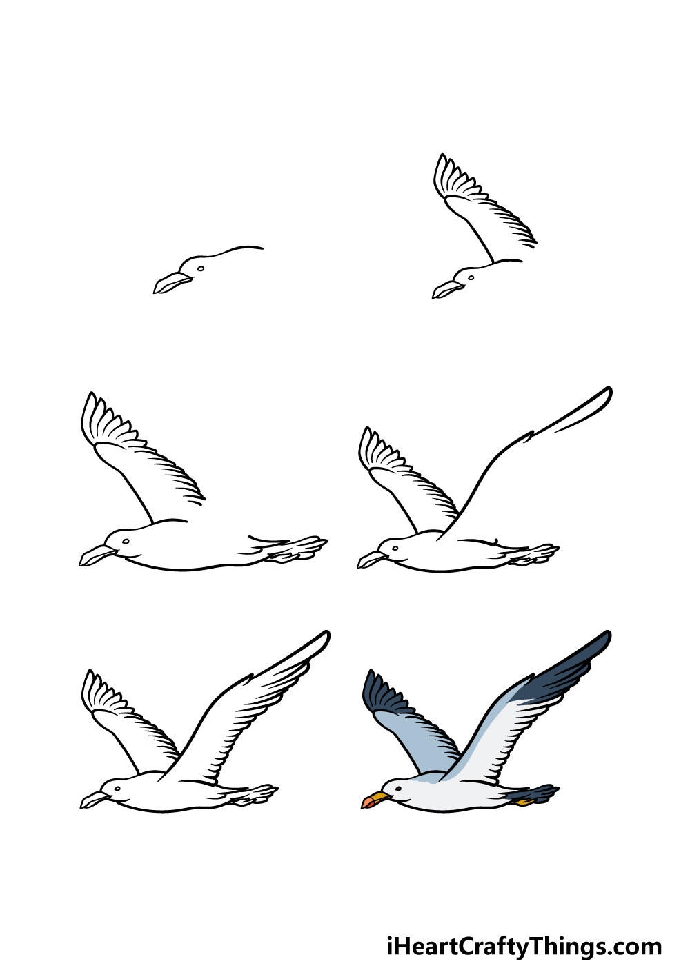 flying seagull drawing