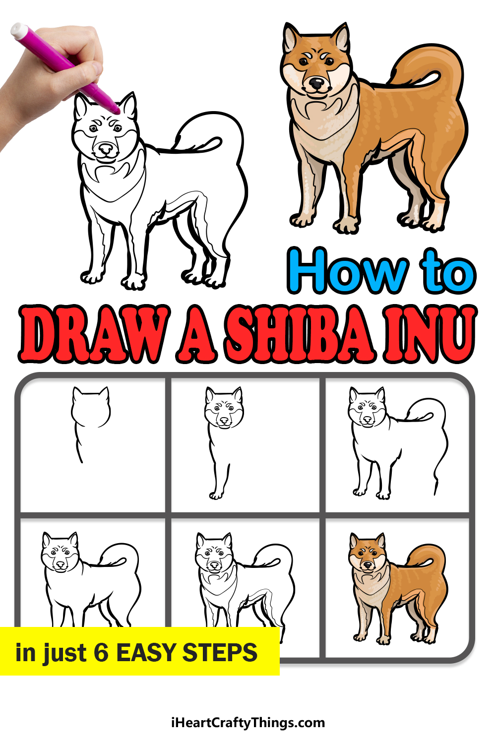 how to draw a Shiba Inu in 6 easy steps