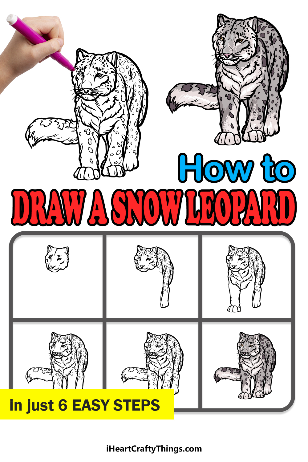 how to draw a snow leopard in 6 easy steps