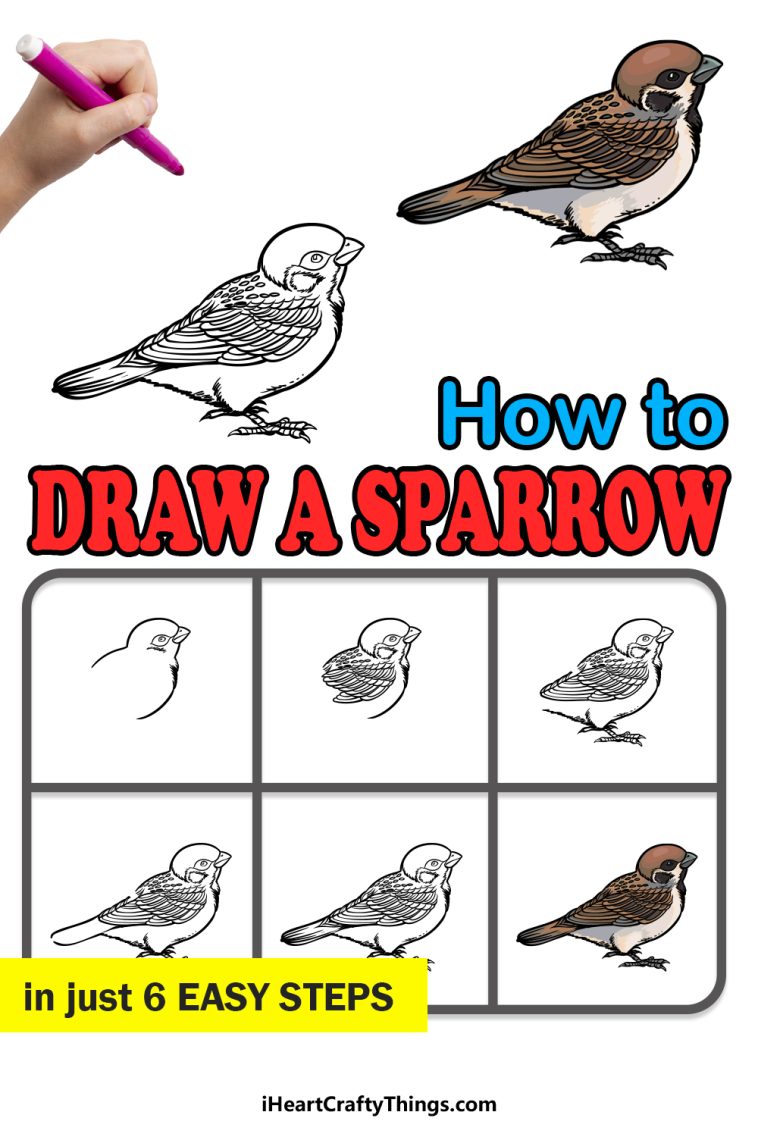 Sparrow Drawing - How To Draw A Sparrow Step By Step