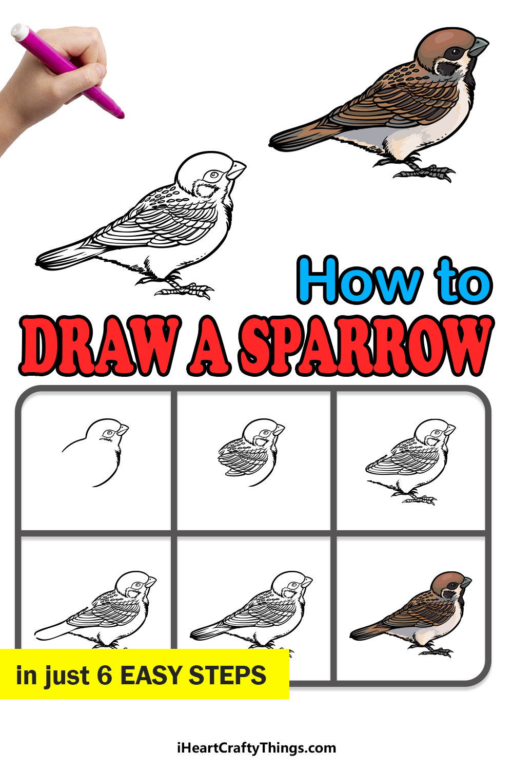 How to Draw a Sparrow - An Easy Beginners Drawing Tutorial