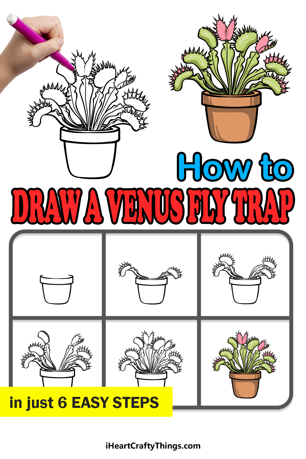 how to draw a Venus Fly Trap in 6 easy steps