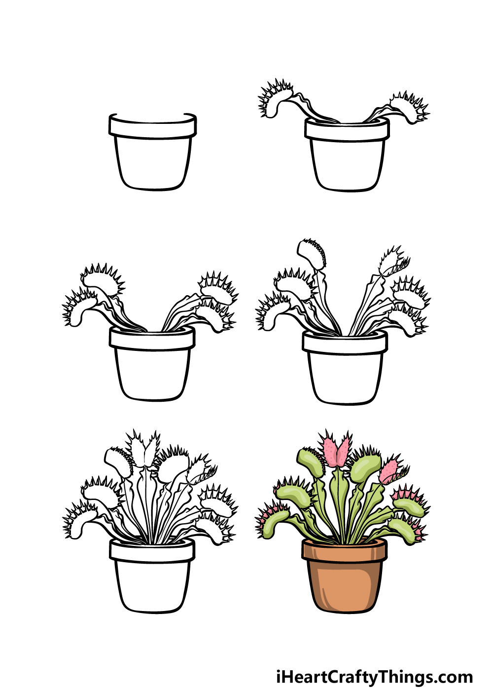 how to draw a Venus Fly Trap in 6 steps