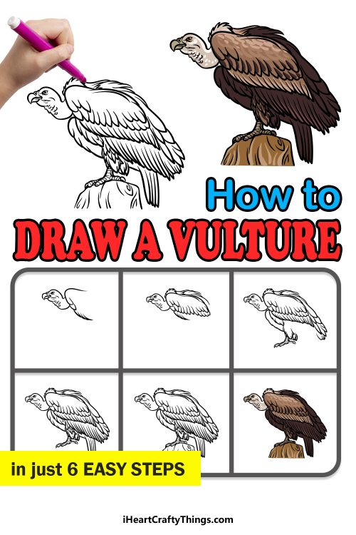 Vulture Drawing - How To Draw A Vulture Step By Step