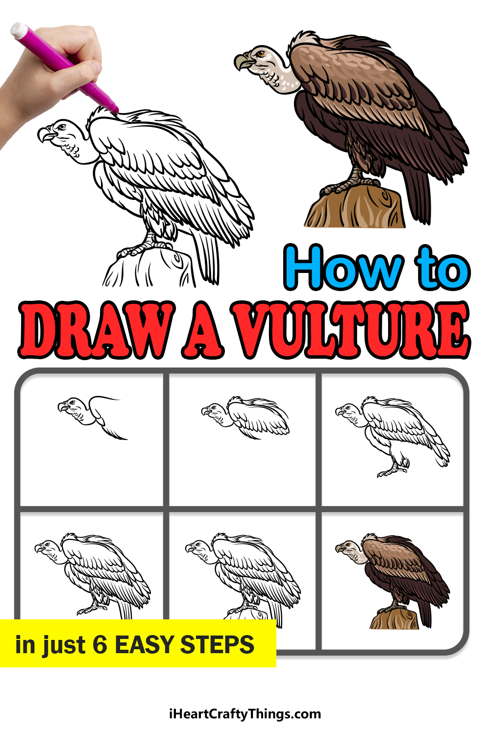 how to draw a Vulture in 6 easy steps